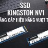 O Cung SSD M2 PCIe 500GB Kingston NV1 NVMe 2280 00