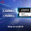 O Cung SSD M2 PCIe 500GB Kingston NV1 NVMe 2280 003